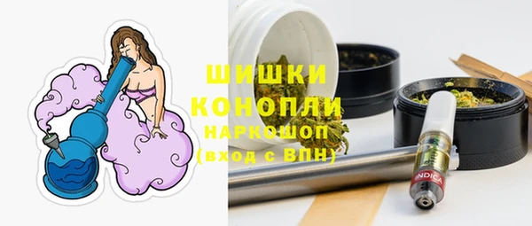 мдпв Магас