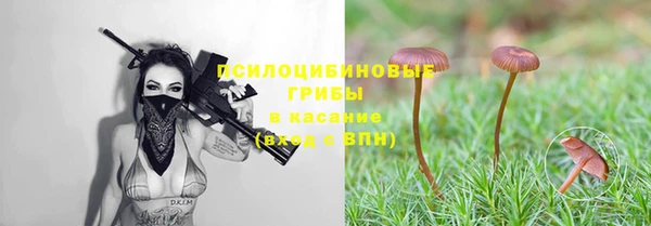 мдпв Магас
